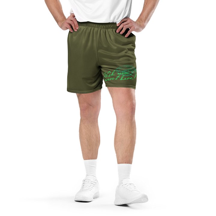 L'Agence Wish You Were Here! Mesh Shorts Green product image (1)