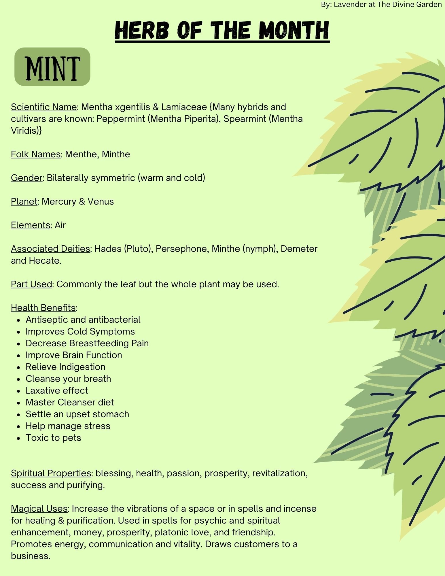 Mint product image (1)