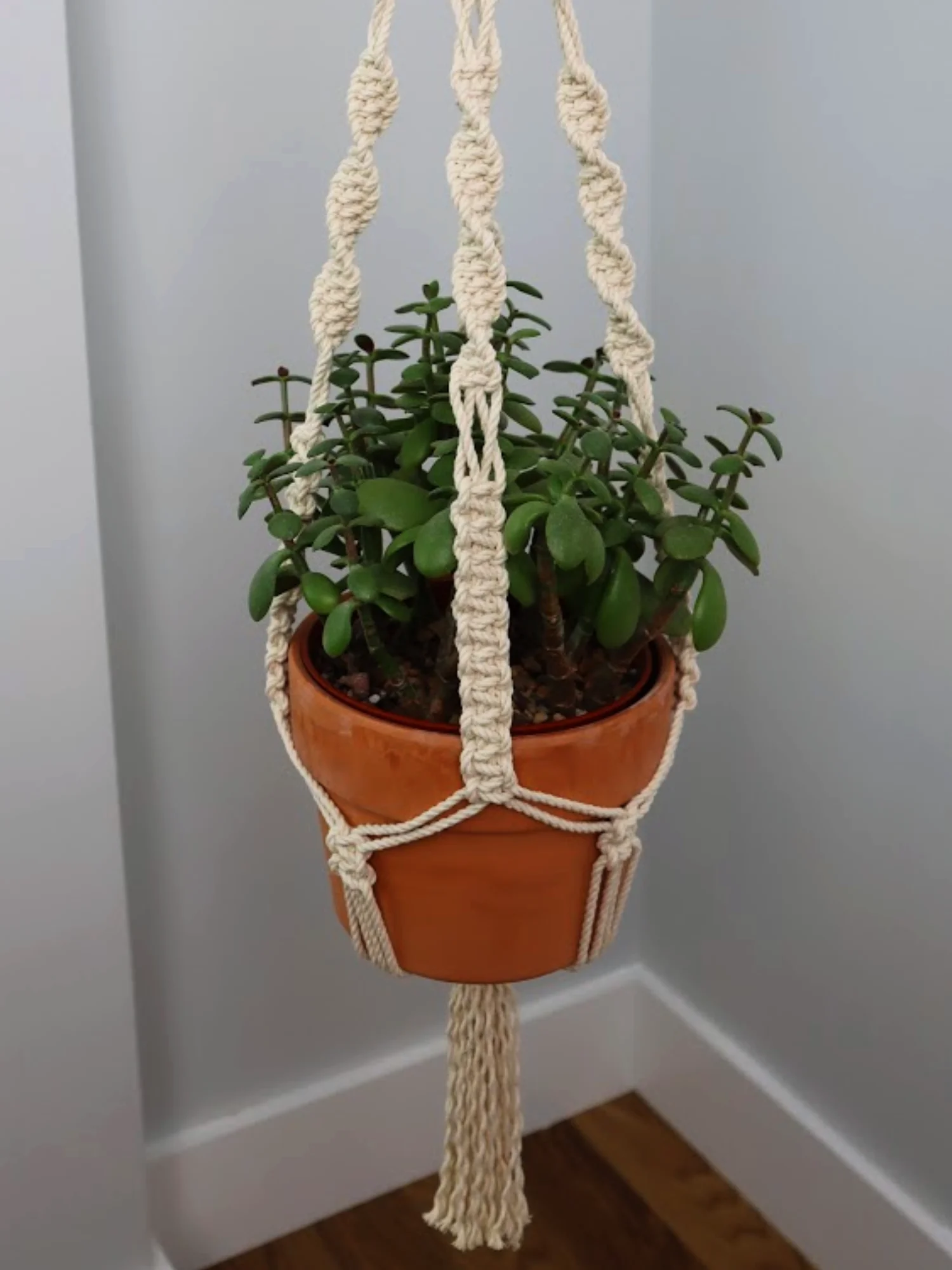 Classic Macrame Plant Hanger (Digital PDF Pattern) product image (3)