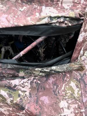 Checking out @tylerv1987 nice blind setup. Hopefully Santa gets him a new one tomorrow #fyp #bougieonabudget #hunting 