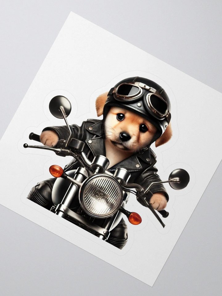Born to ride… and fetch! product image (2)