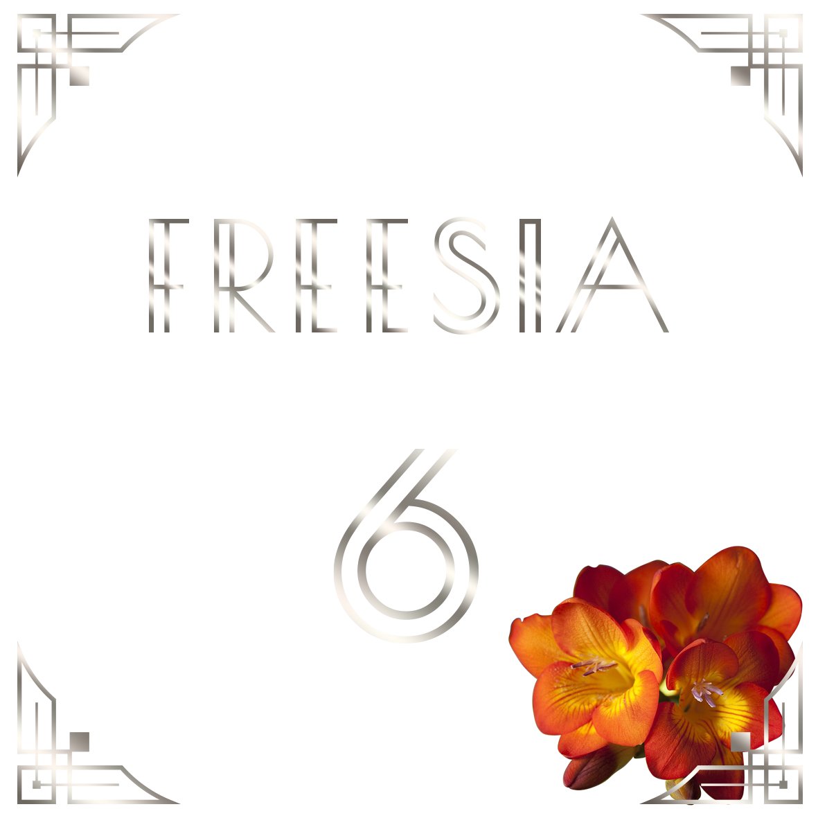 Conception de bâches / panneaux sur mesure product image (7)