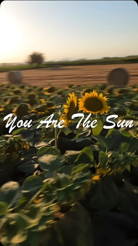 🌻🌅This one goes to everyone who showed up this month — you are the sun. 
Discip “Raw Control” into Ultra Naté, Hugel & Ismael...