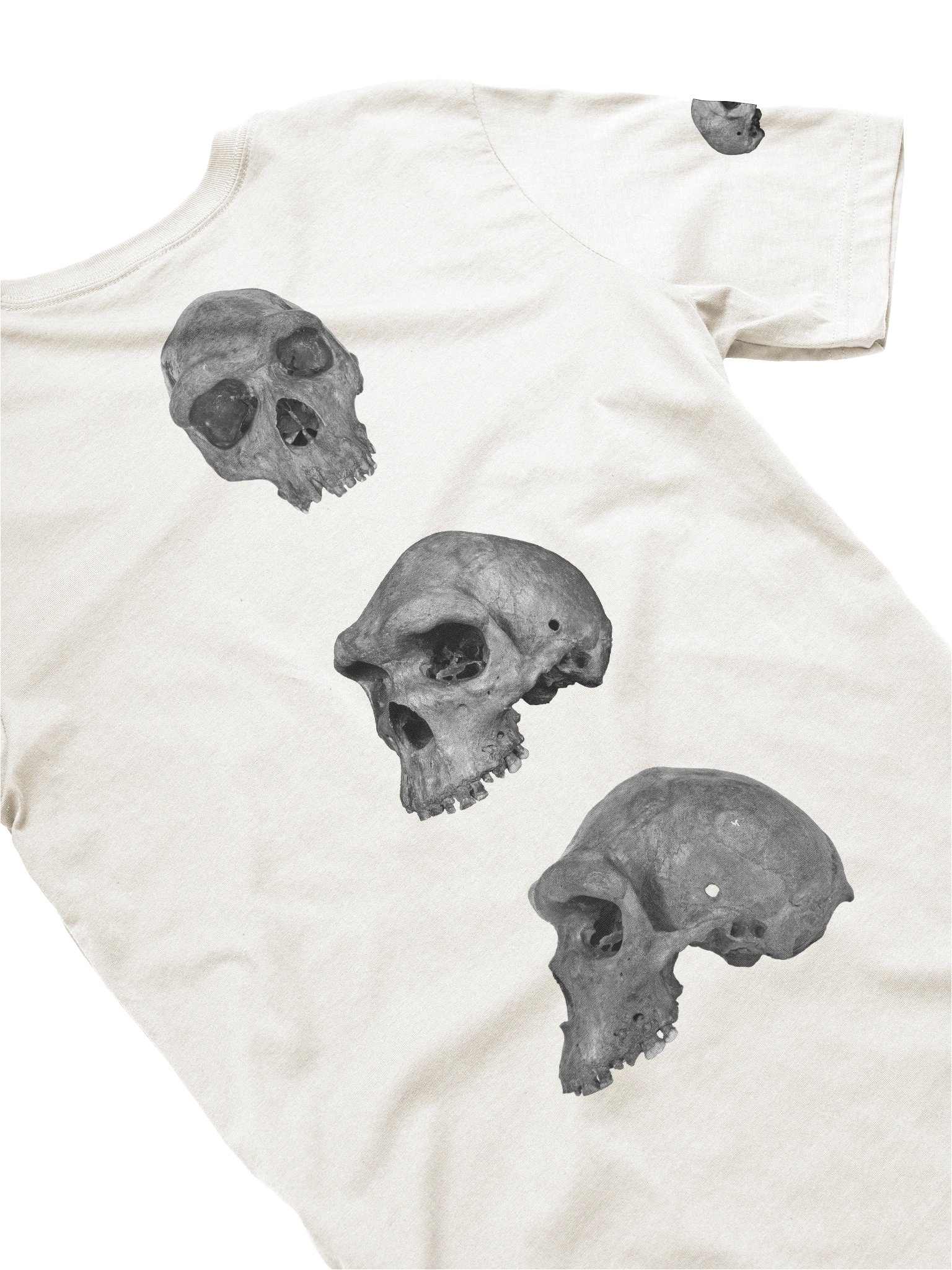 Heidelbergensis Fossil Skull T-Shirt Light product image (20)
