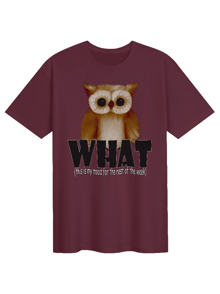 Unisex Gildan Softstyle T-Shirt product image (1)