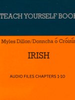 Teach Yourself Irish - Audio Files 1/4 product image (1)
