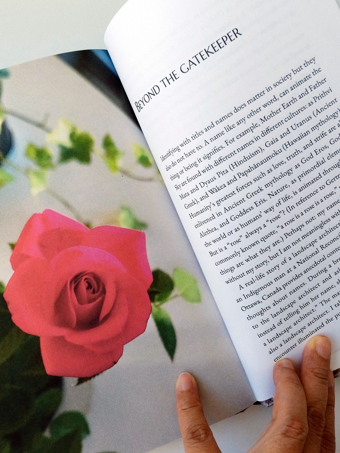 Poignant Landscapes (Hard Cover with Dust Jacket Edition) product image (4)