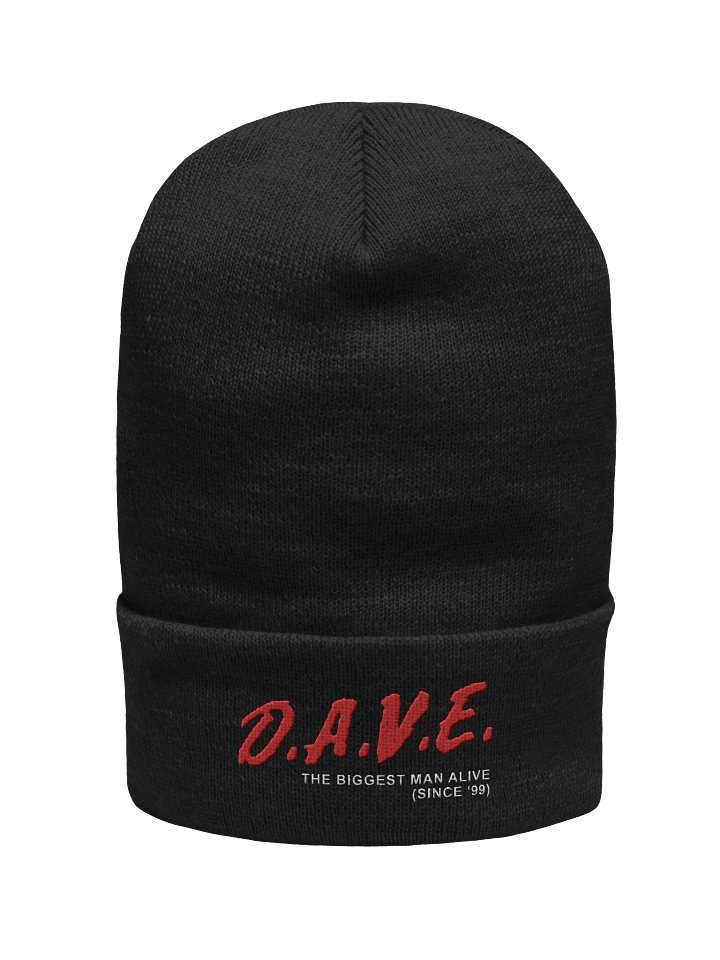 D.A.V.E. Beanie product image (1)