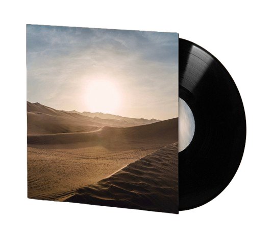 The Oasis 12" Vinyl product image (1)