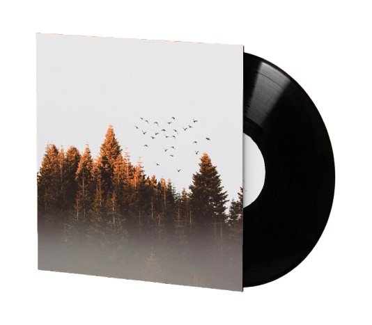 The Forest 12" Vinyl product image (1)