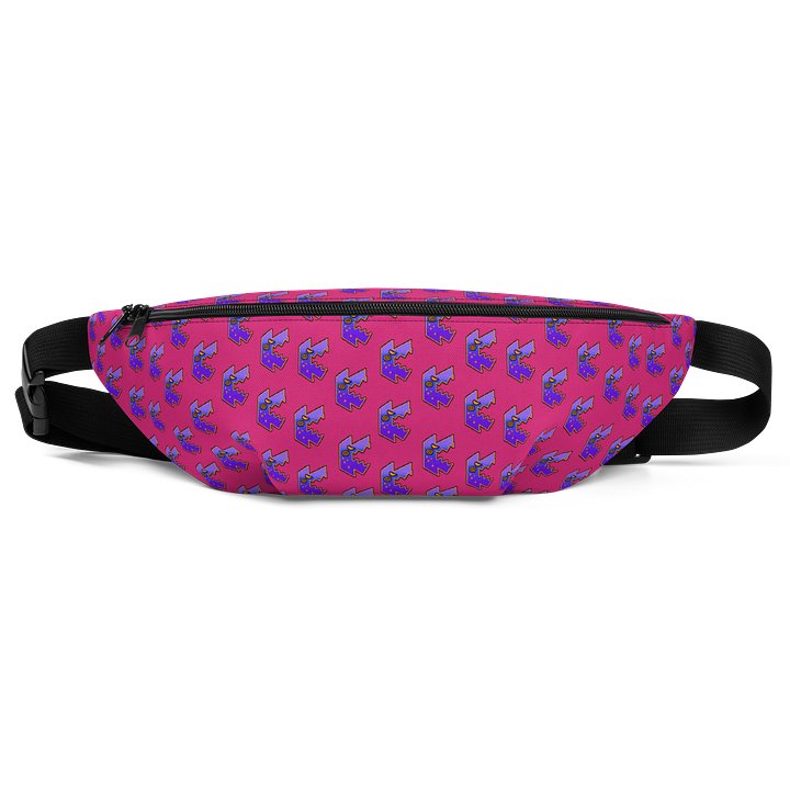 The Best Fanny Pack product image (1)