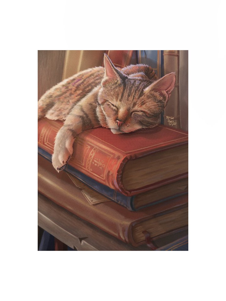 The librarian - Matte print product image (1)