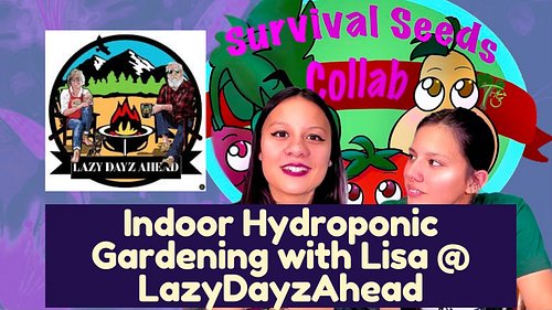 Join us tonight at 6:15 pm EST as we talk to Lisa @lazydayzahead and learn about her experiences indoor gardening!! https://w...