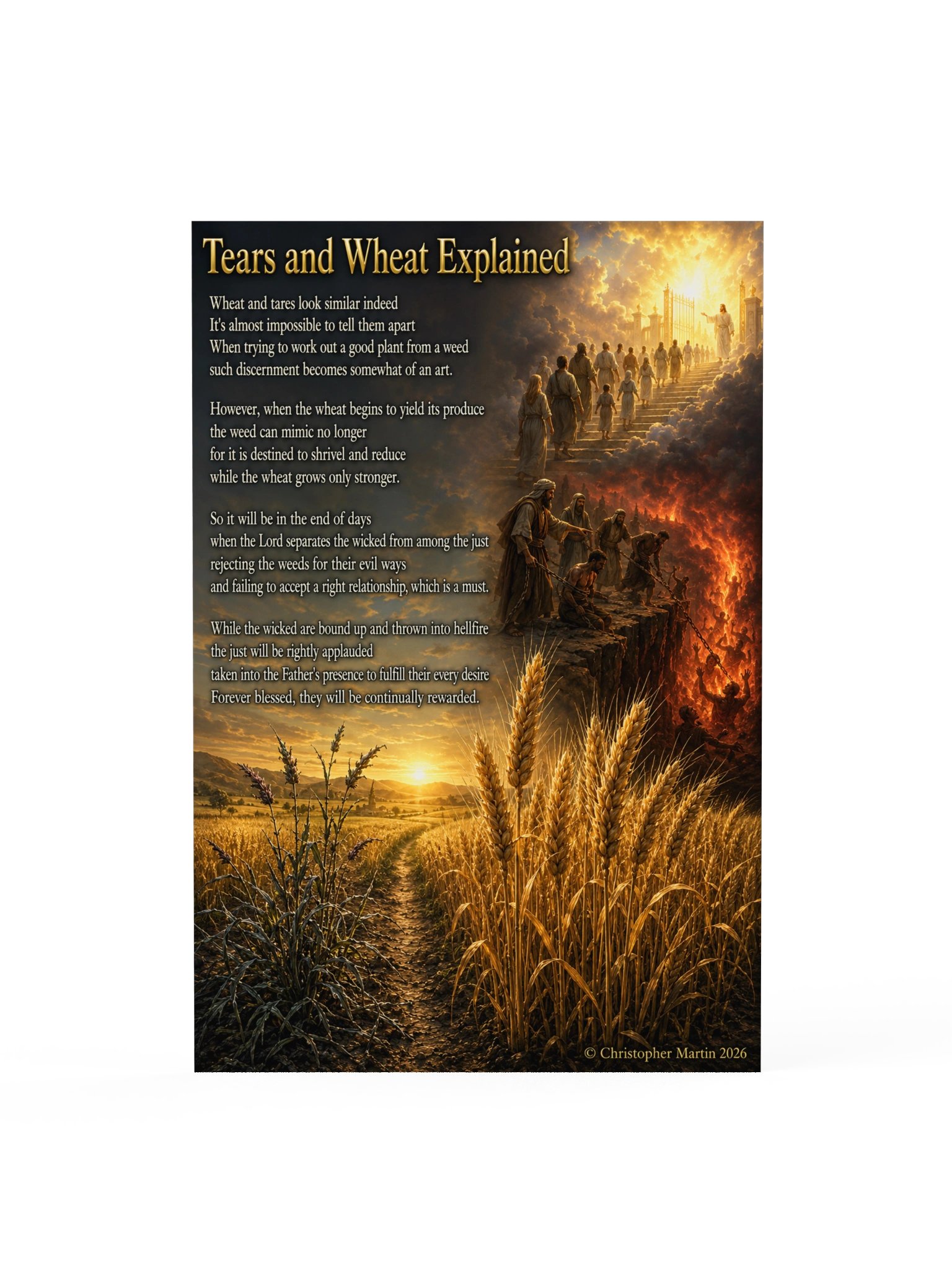Tares and wheat explained product image (1)