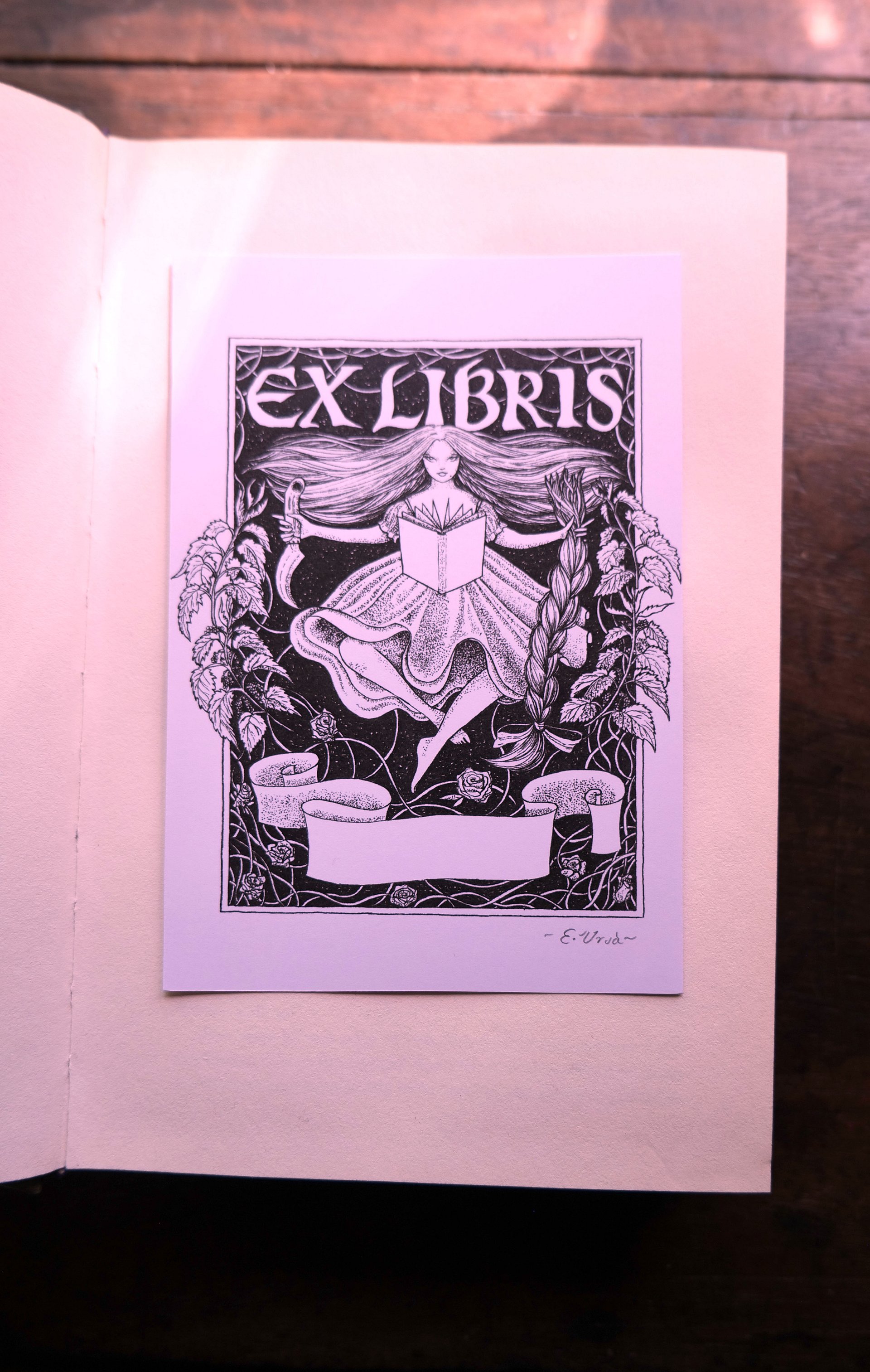 Book Lover's Pack | All Designs | 3x Bookplates 3x Bookmarks 1x A4 Print product image (9)