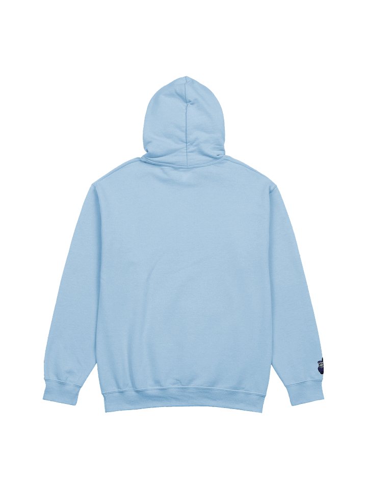Copy of Cosy Vibes Apple Hoodie product image (2)