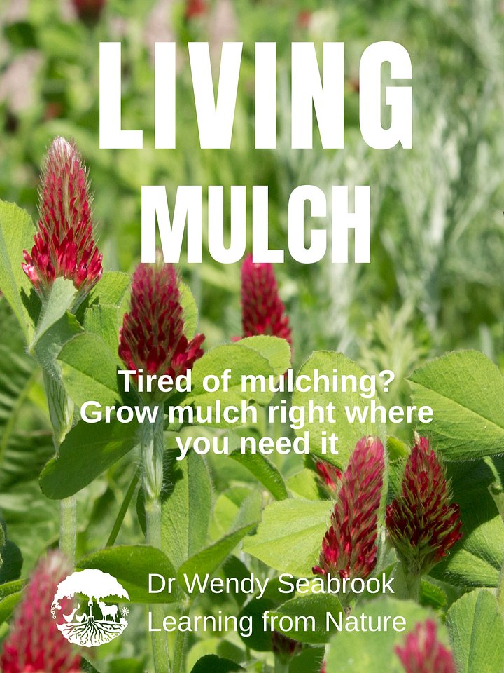 Living Mulch product image (1)