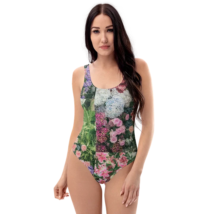 Reverie One-Piece product image (1)