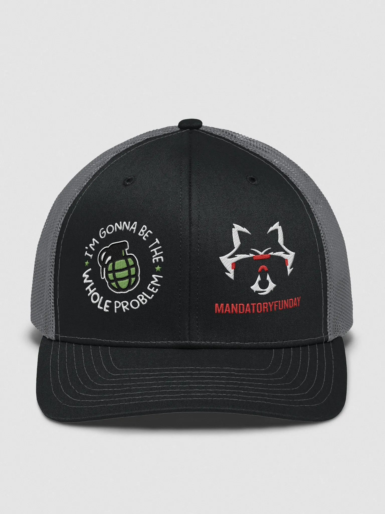 The Whole Problem Hat product image (1)