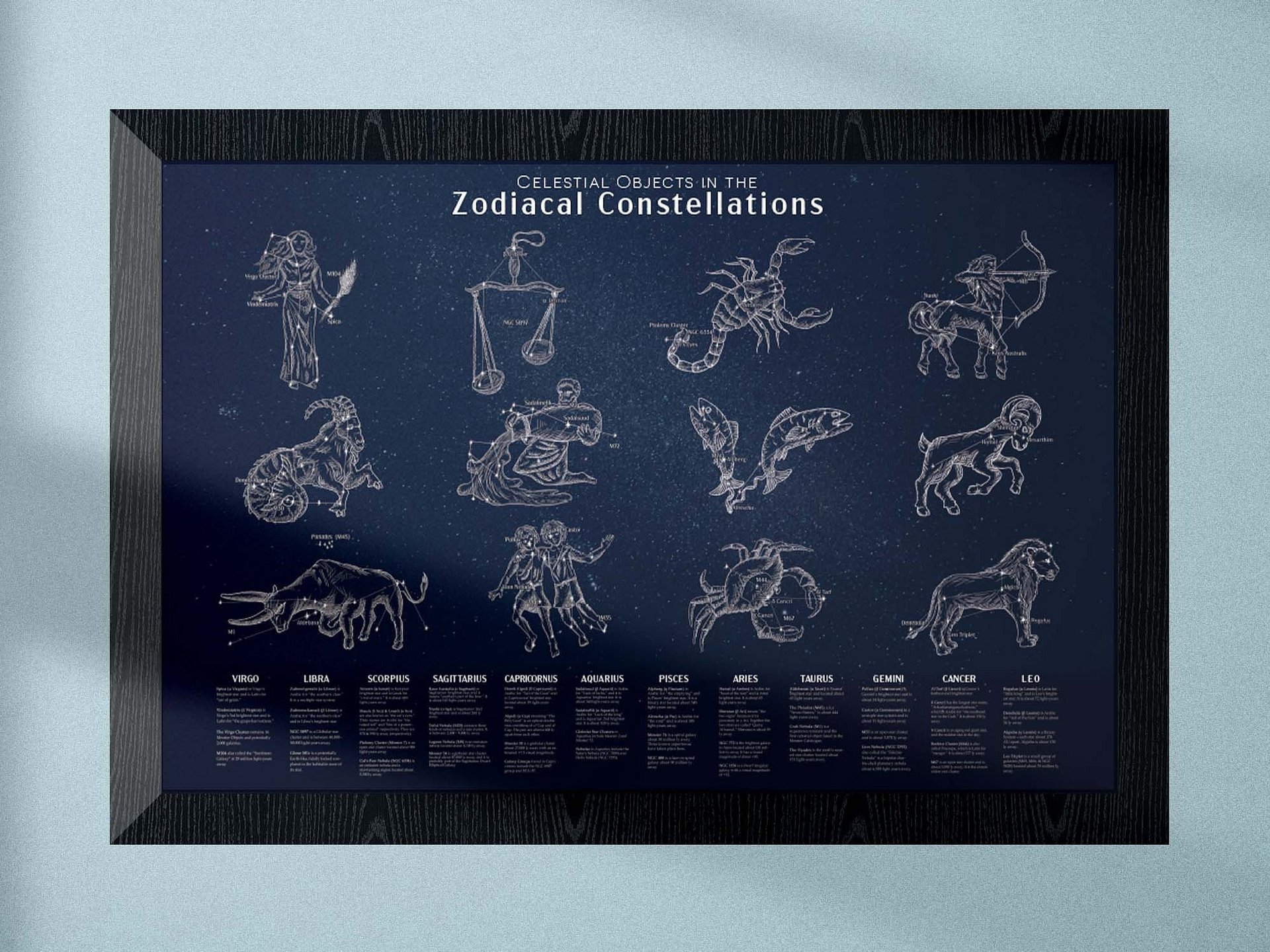 Zodiac Constellation Art & Infographics Poster product image (1)