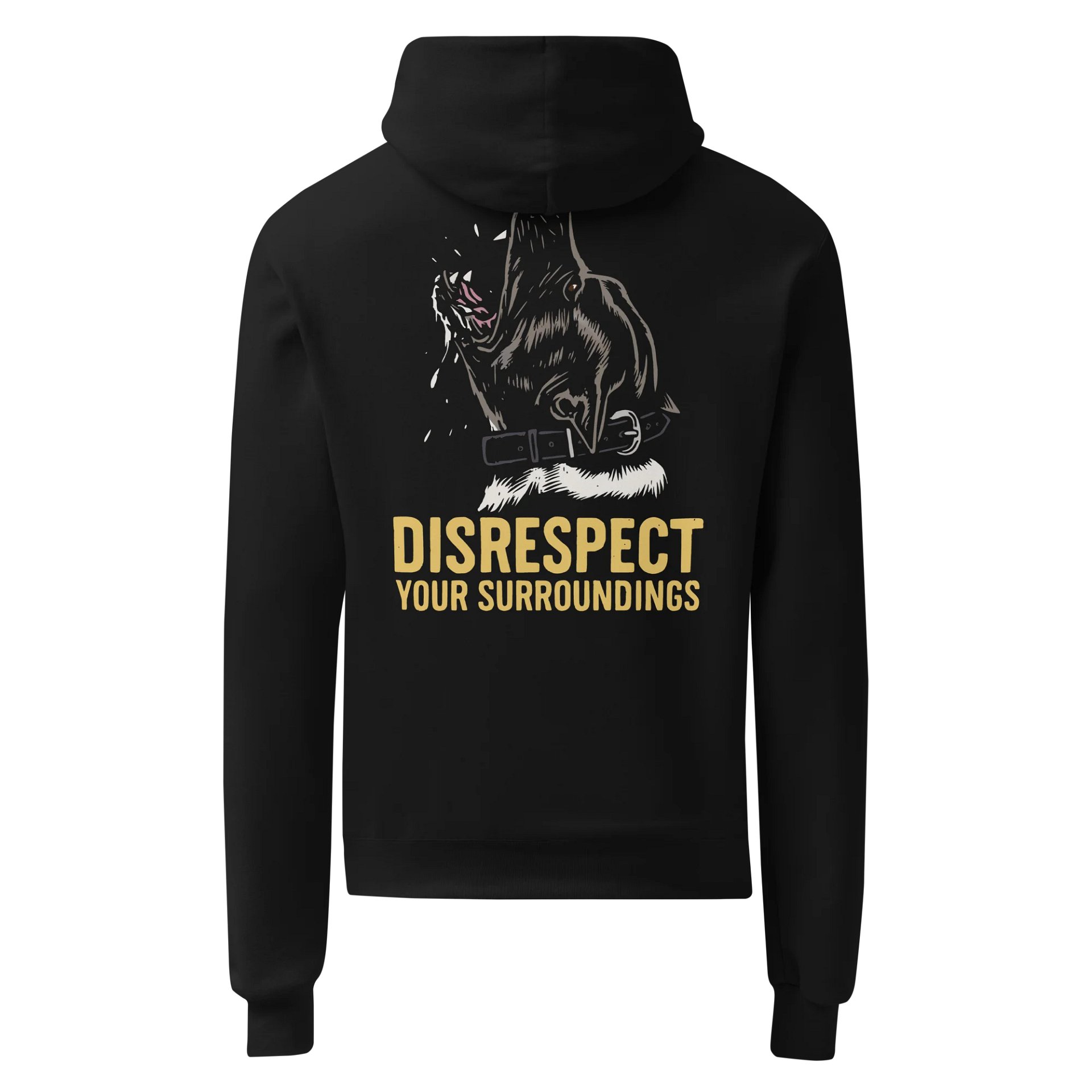 Disrespect Your Surroundings - Champion Hoodie product image (1)