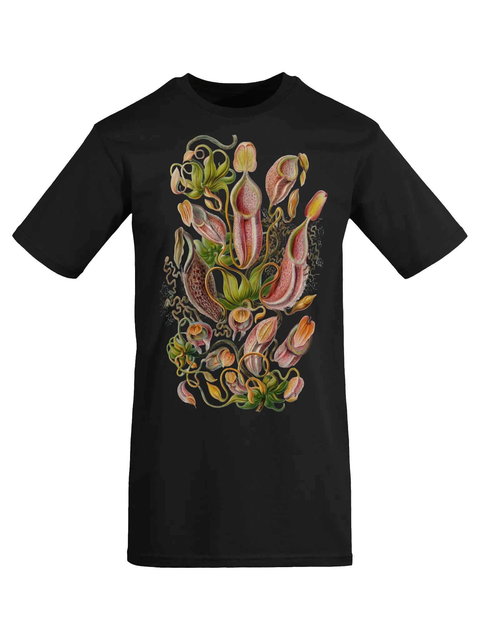 Ernst Haeckel - Nepenthaceae (pitcher plants) product image (5)