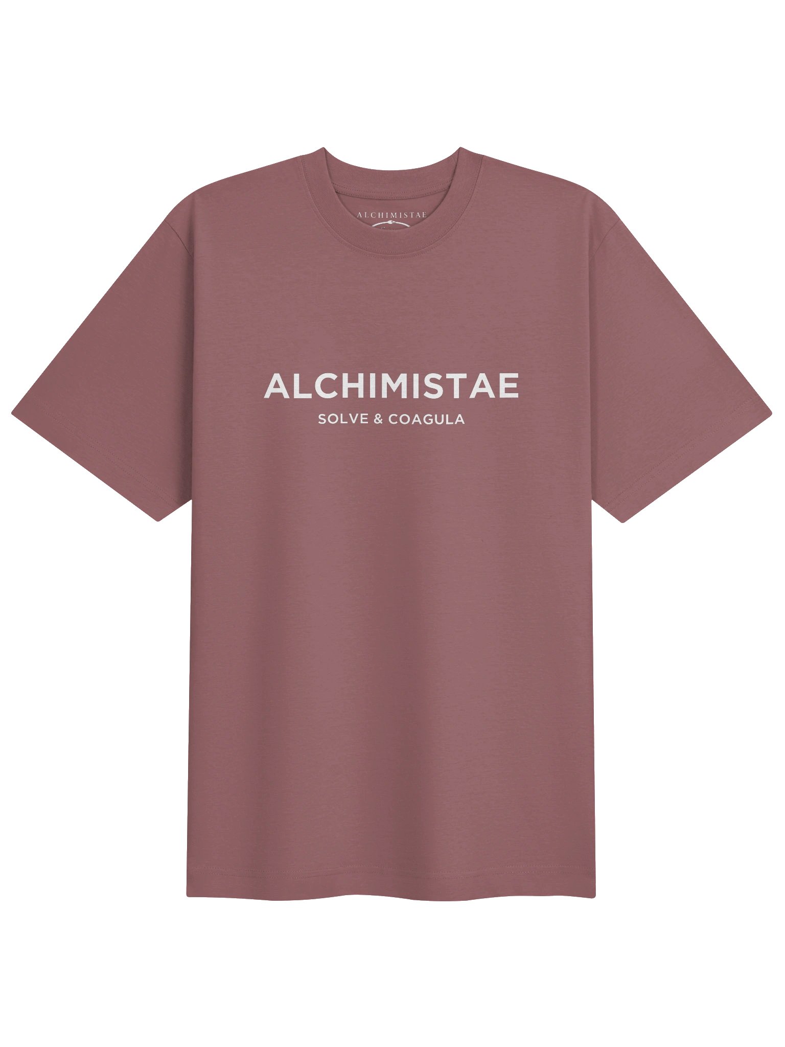 T-Shirt Unisexe Oversize Coton Bio Poids Lourd - ALCHIMISTAE product image (11)