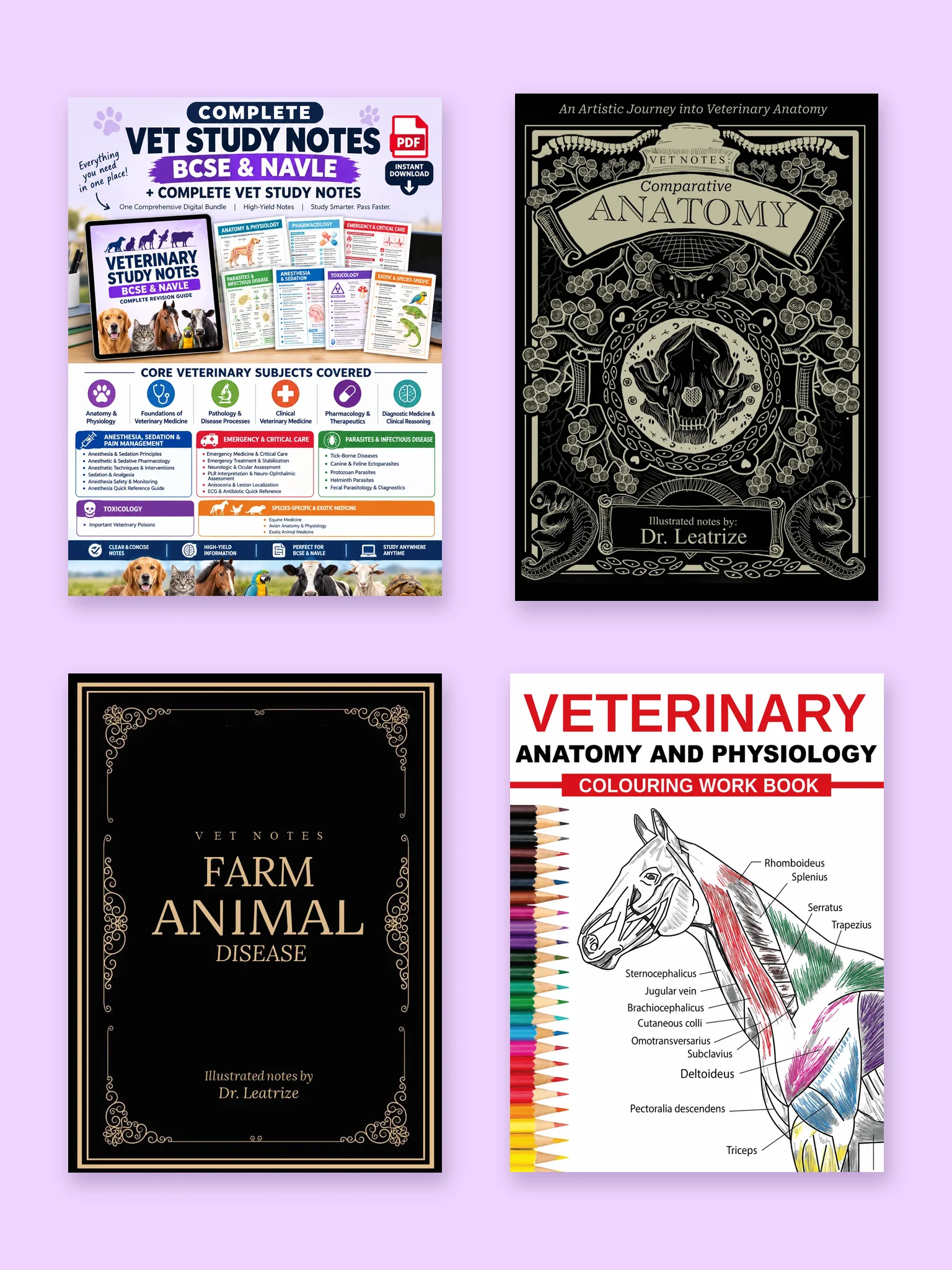 Vet Student Exam Prep Set: Complete Study Notes, Anatomy, Farm Animal Diseases product image (1)