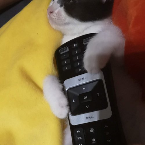 Me after a long day