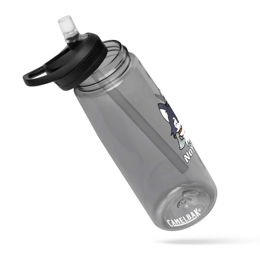The Amadeus Raider Camelbak Water Bottle product image (24)