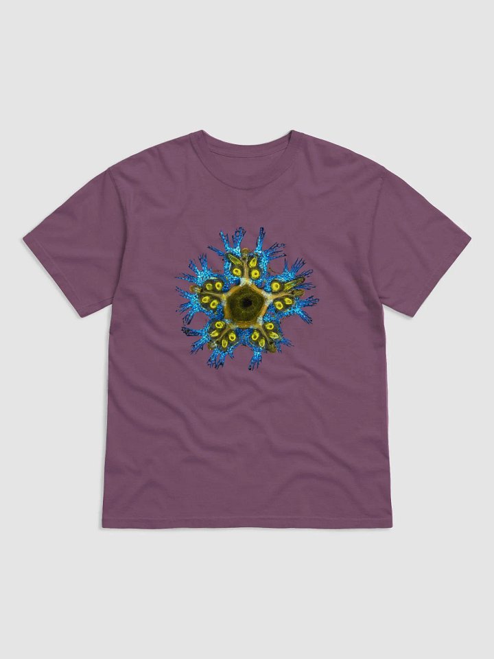 Starfish Nervous System 2 product image (16)