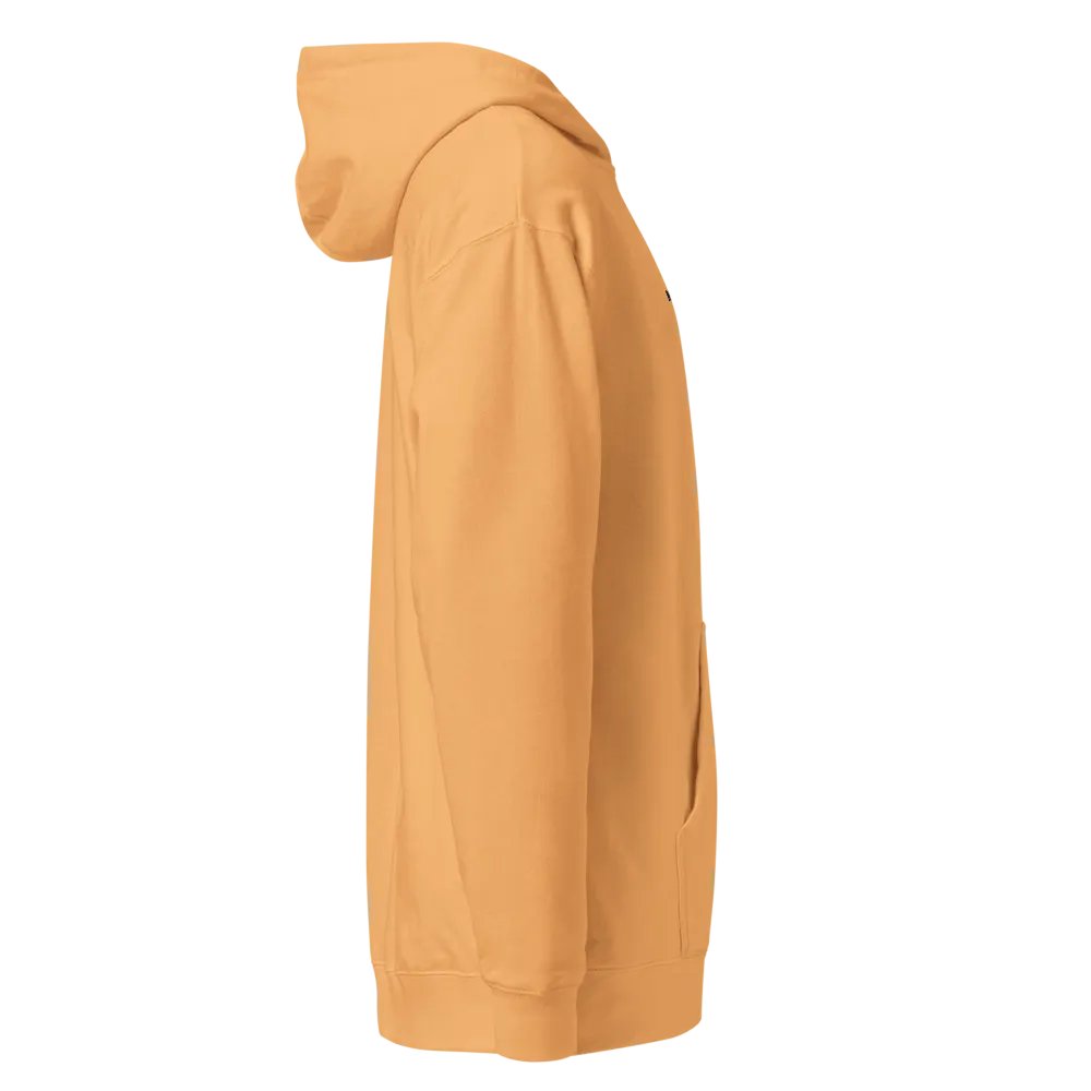 BVR | GEO Hoodie product image (4)
