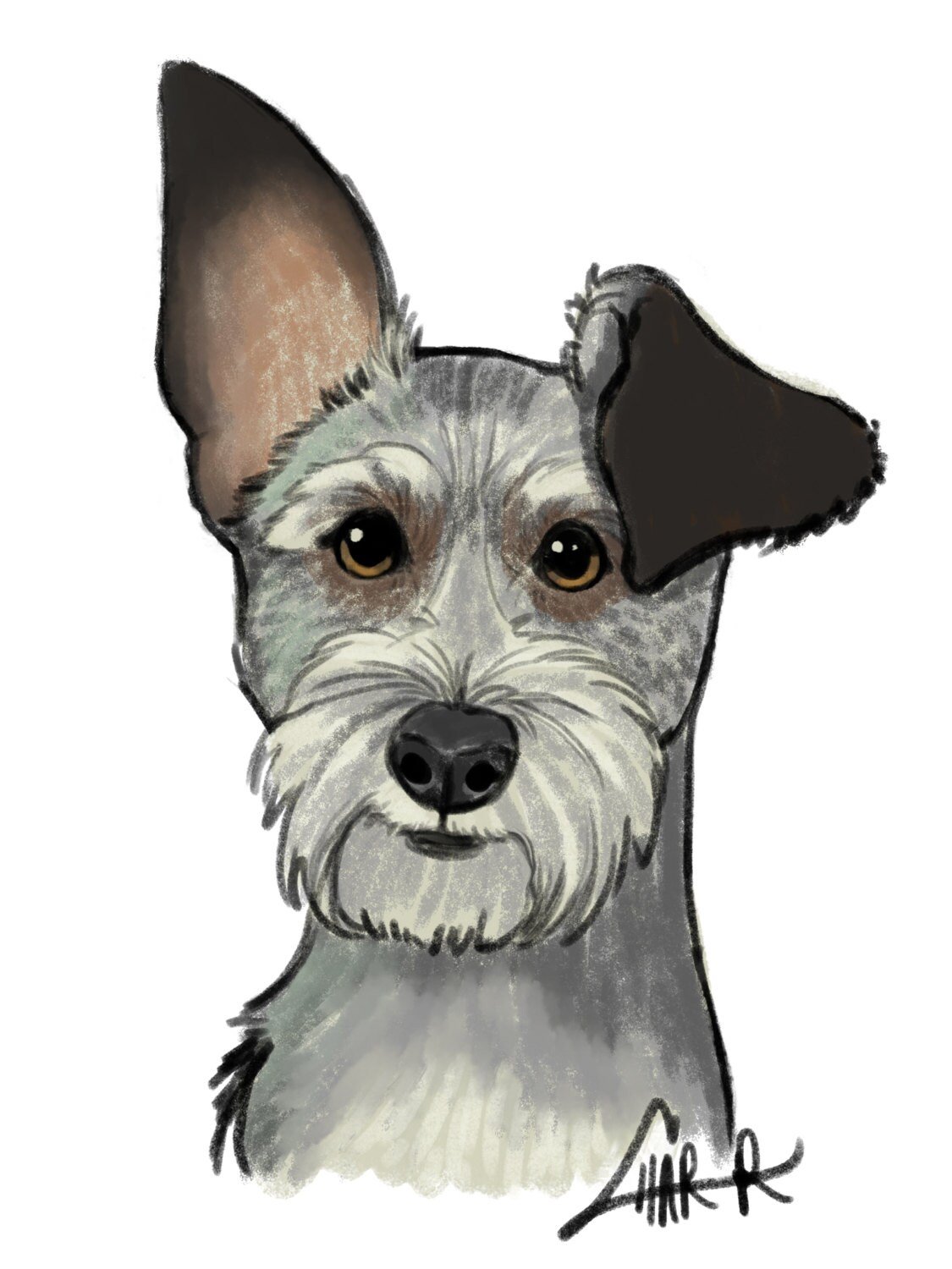 Pet Portrait Sketch (Digital Only) product image (2)