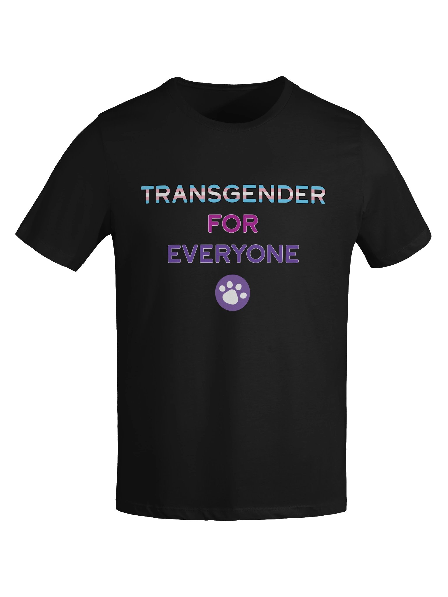 Transgender for Everyone Women's T-Shirt product image (7)
