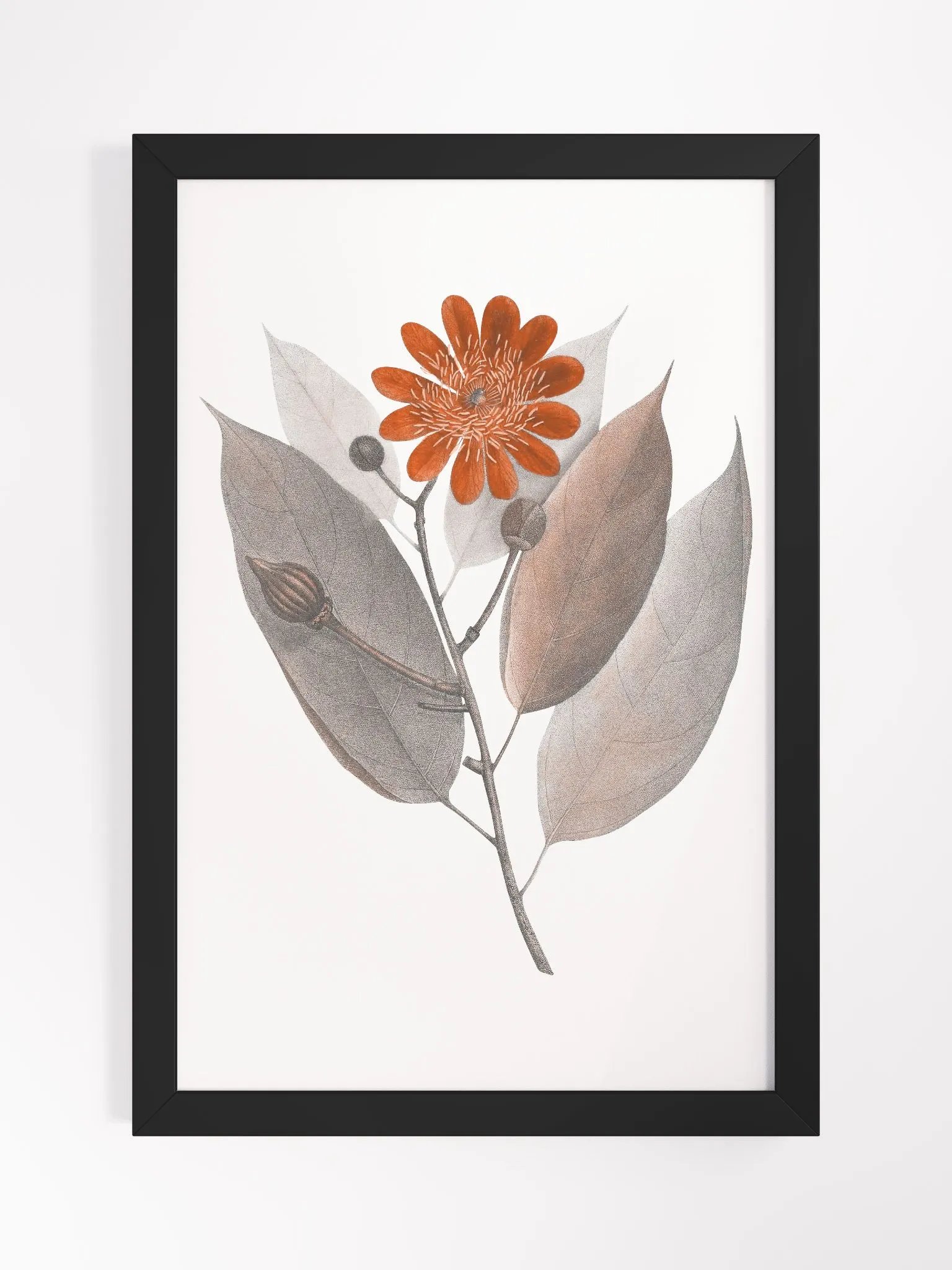 Ecotone Rust Flower Framed Print product image (1)