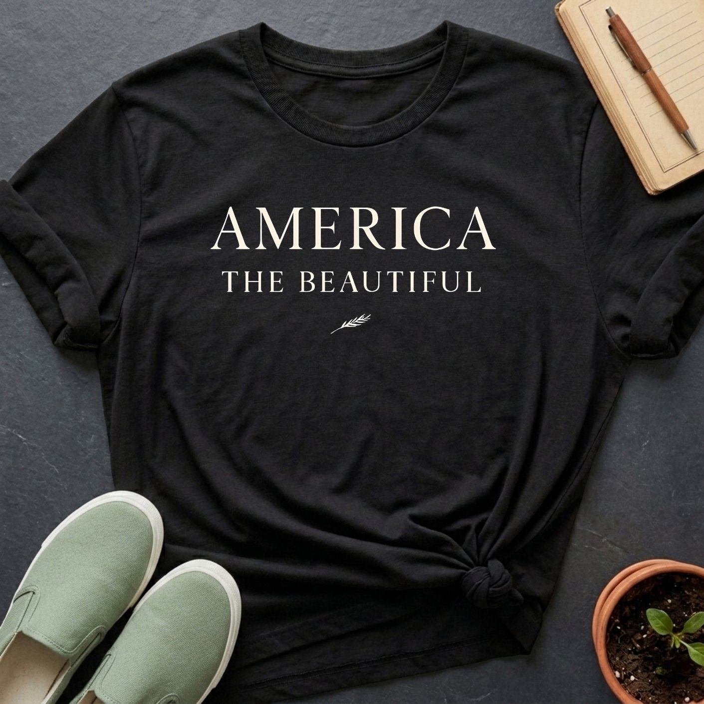 America 250: "America II" Organic T-Shirt product image (1)