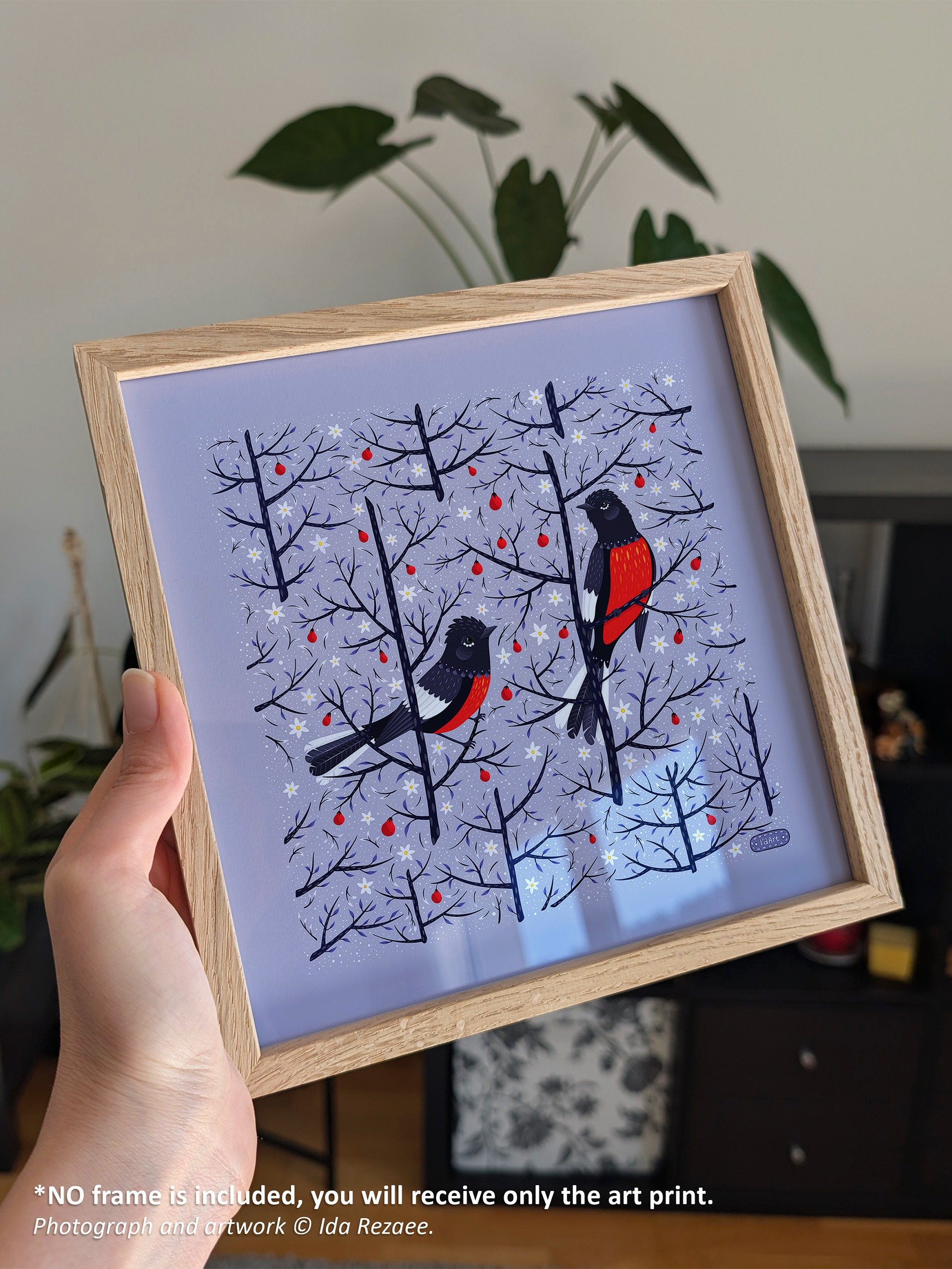 Painted Redstart - Bird Art Print product image (6)