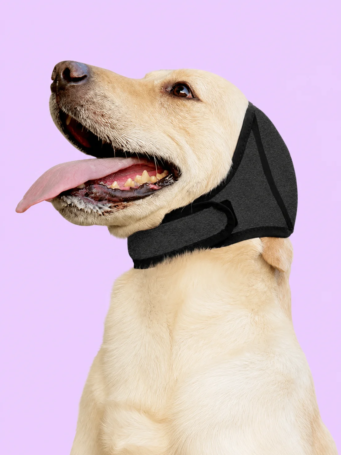 Noise Reduction Earmuffs For Dogs product image (1)