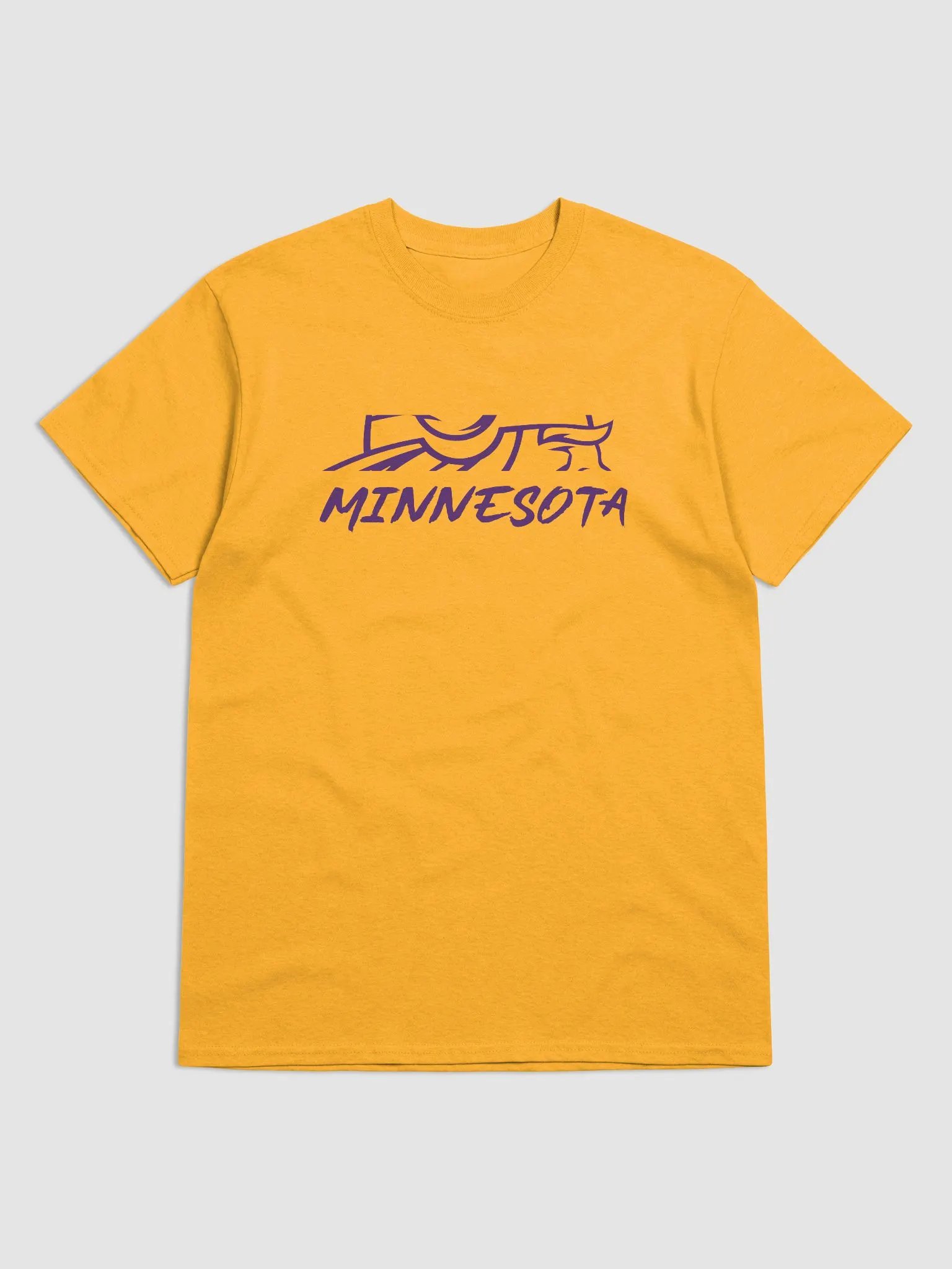 Minnesota Voyagers product image (1)