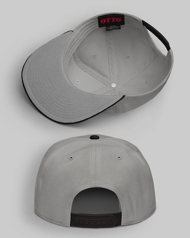 Jiu Jitsu Skull Embroidered Snapback | Grey product image (2)