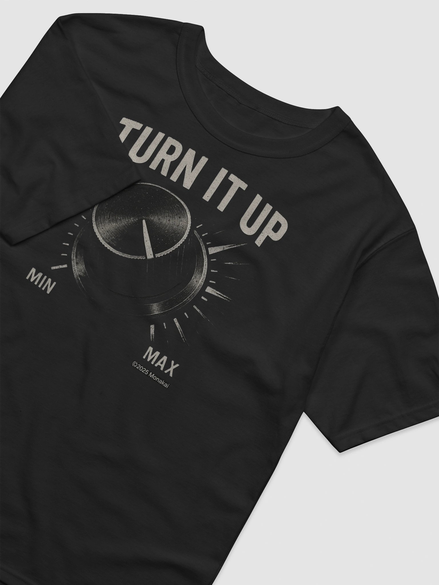 (ON SALE) TURN IT UP Champion® Relaxed-Fit T-Shirt by Monakai product image (4)