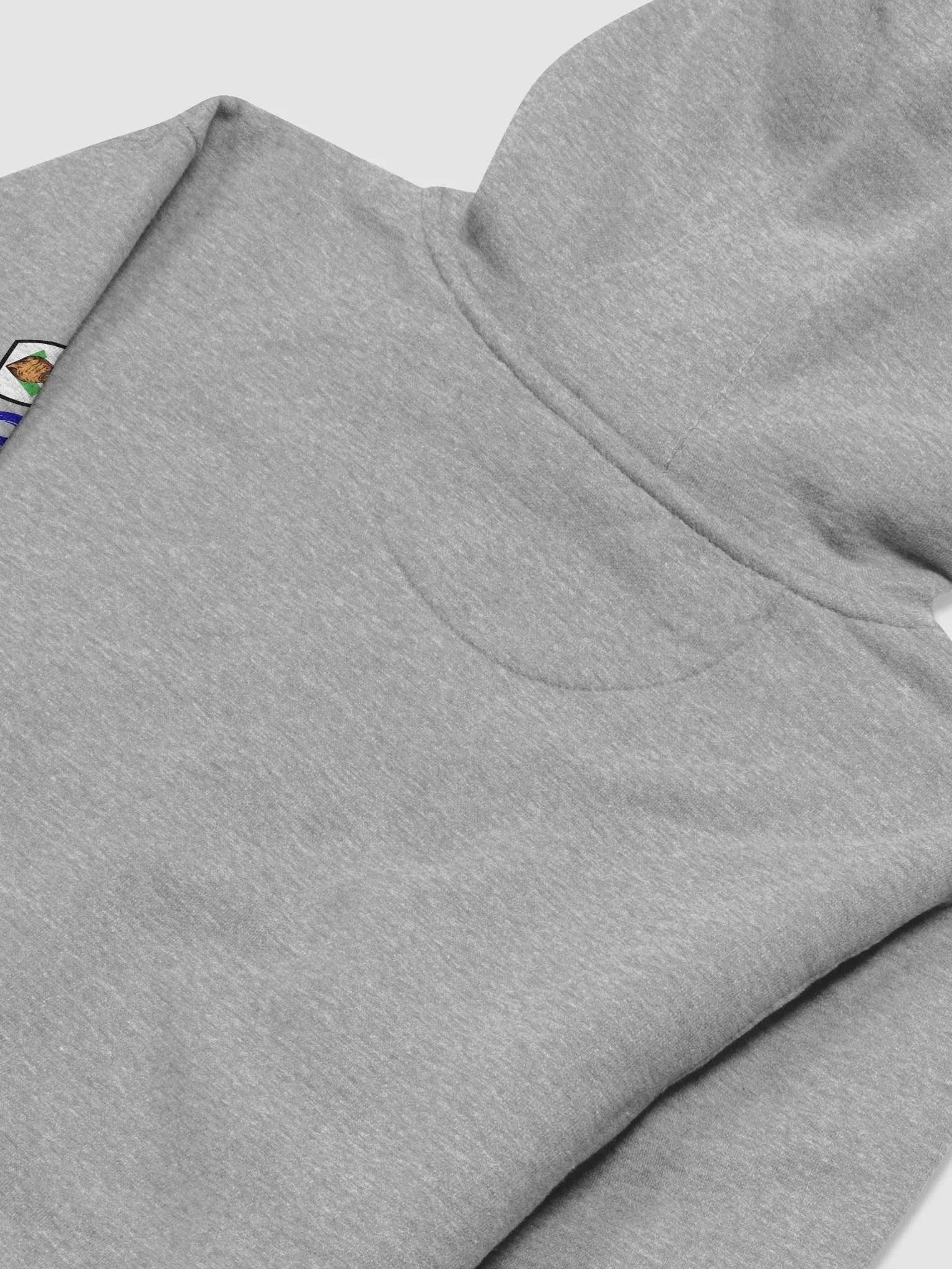 Affordable Hoodie- Logo Front & Sleeve product image (4)