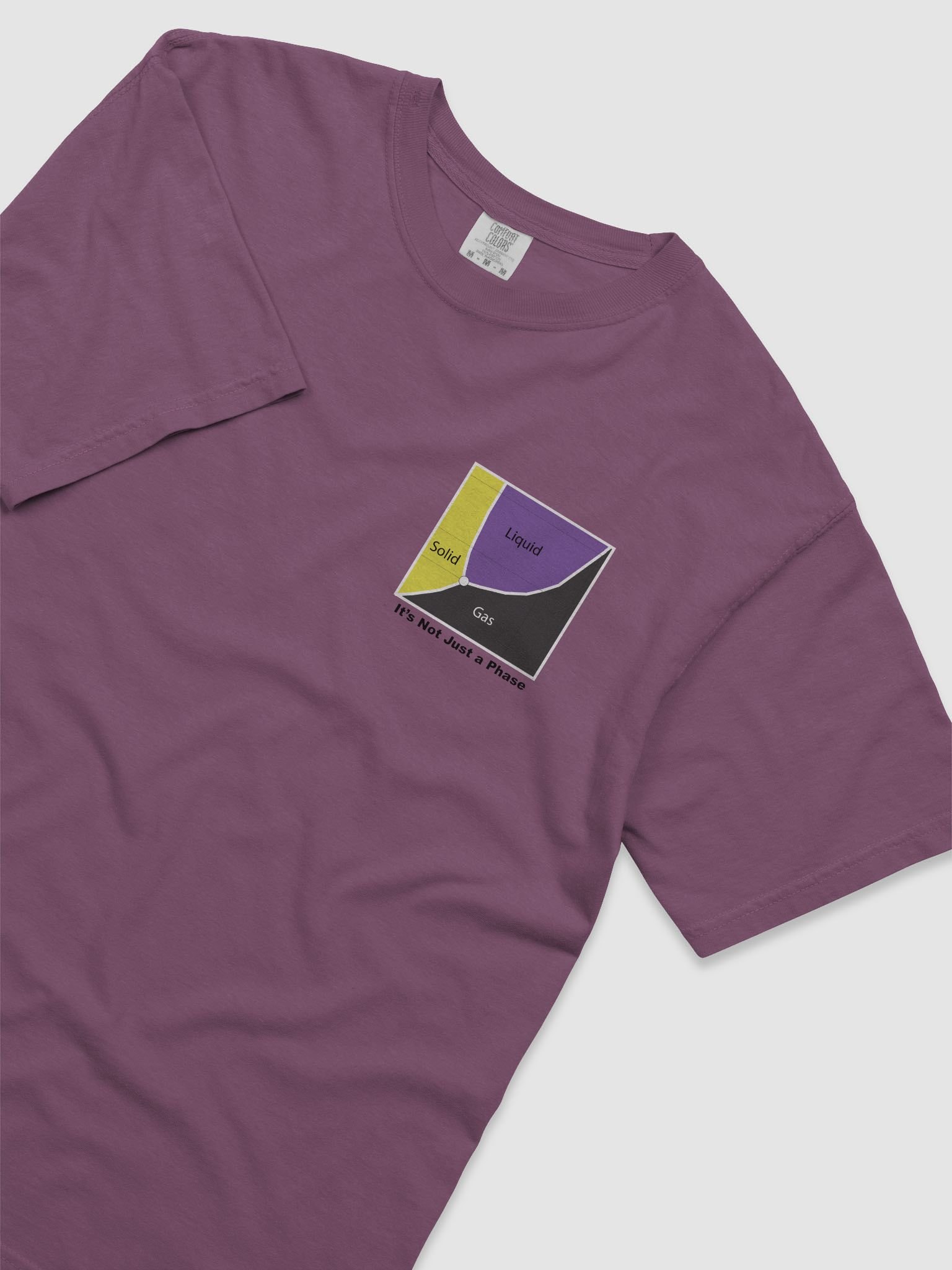 It's Not Just a Phase- Non Binary T Shirt product image (19)