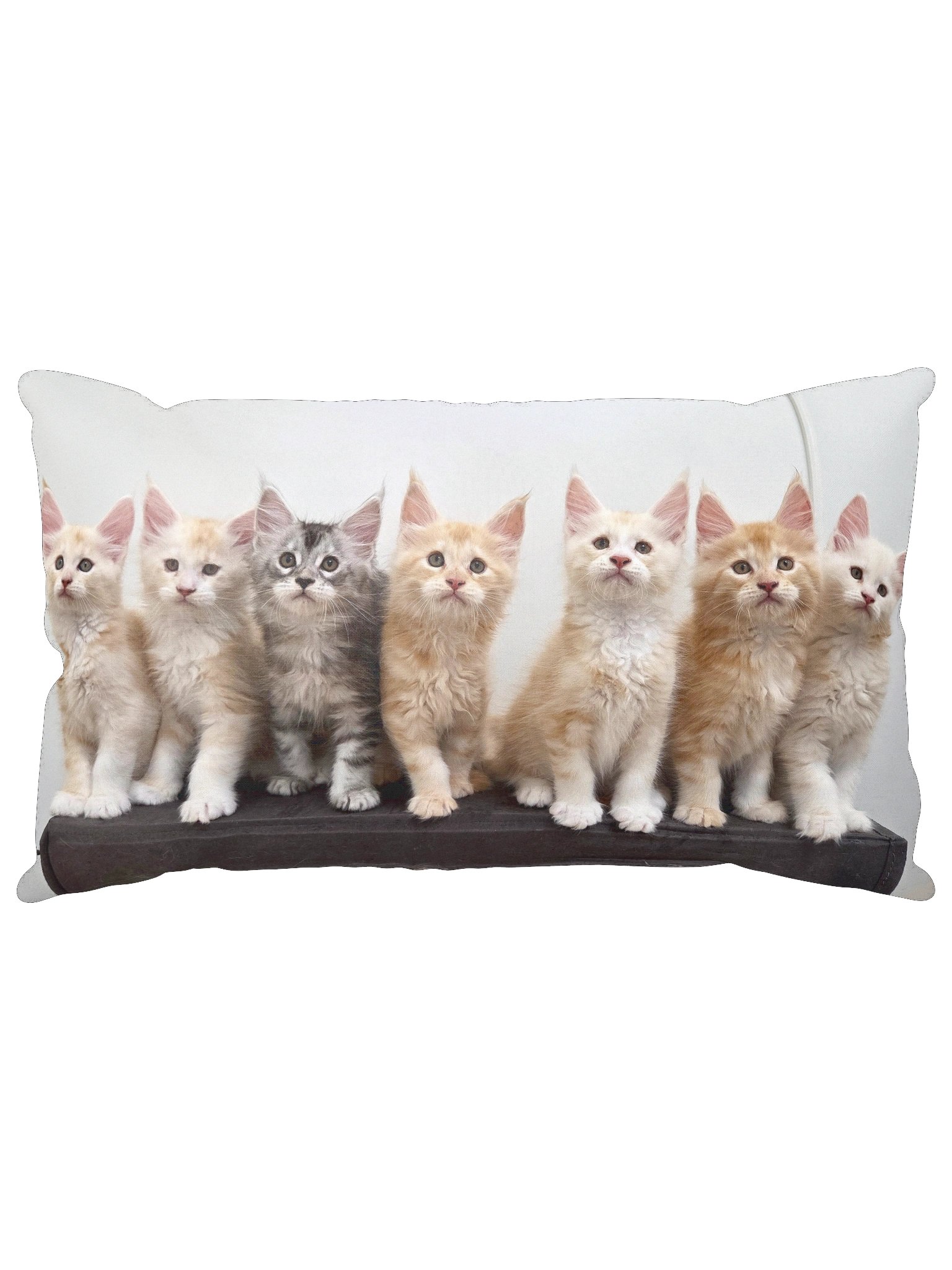 Freya's Kittens - Pillow product image (3)