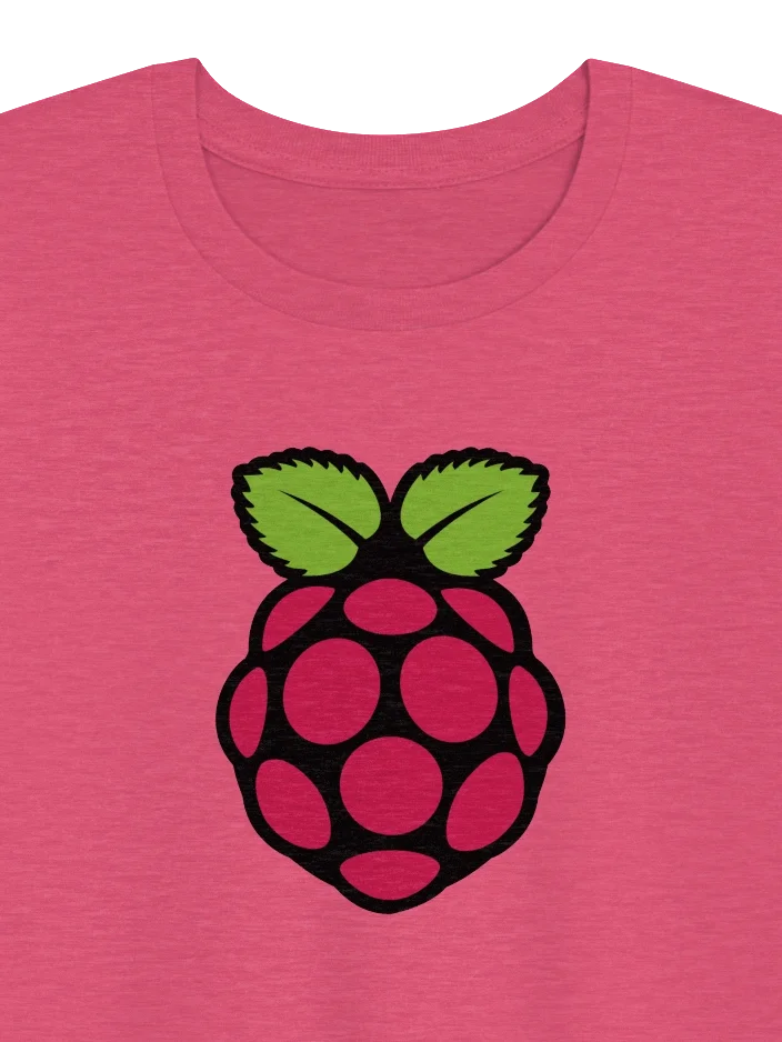 Raspberry Pi T-Shirt product image (1)