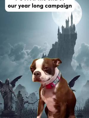 When our campaign comes to an end #dungeonsanddragons #dndtiktokdnd 