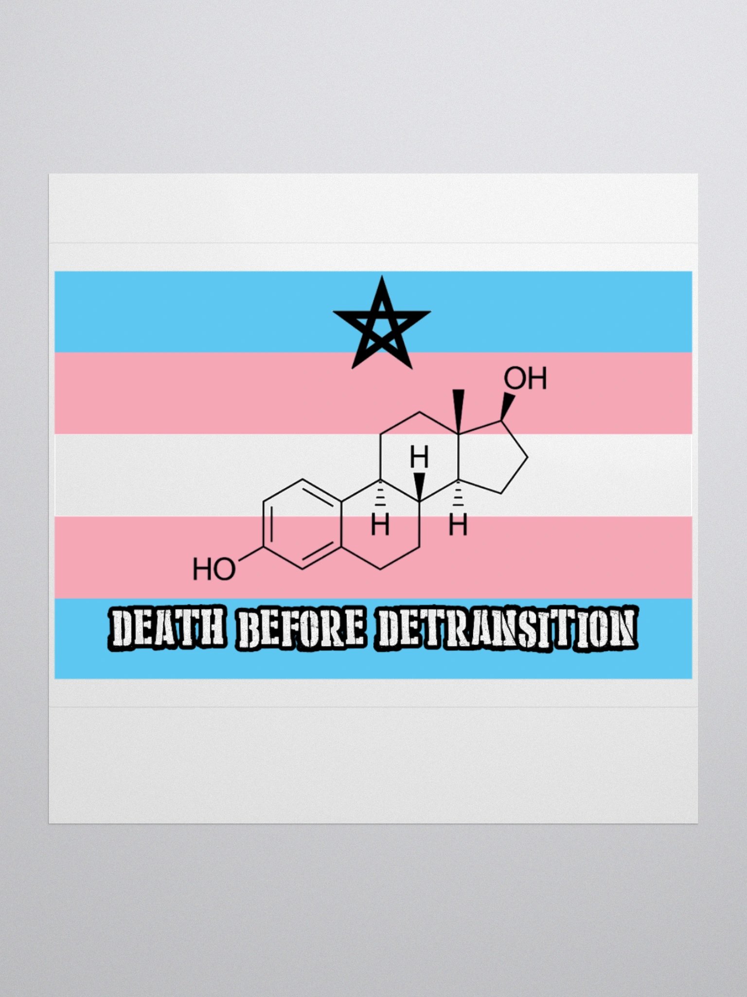 Death Before Detransition (E, sticker edition) product image (1)