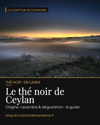 Saviez-vous que le « Ceylan » n'existe plus sur les cartes ? 🇱🇰 Depuis 1972, l'île s'appelle le Sri Lanka — mais son thé noir...