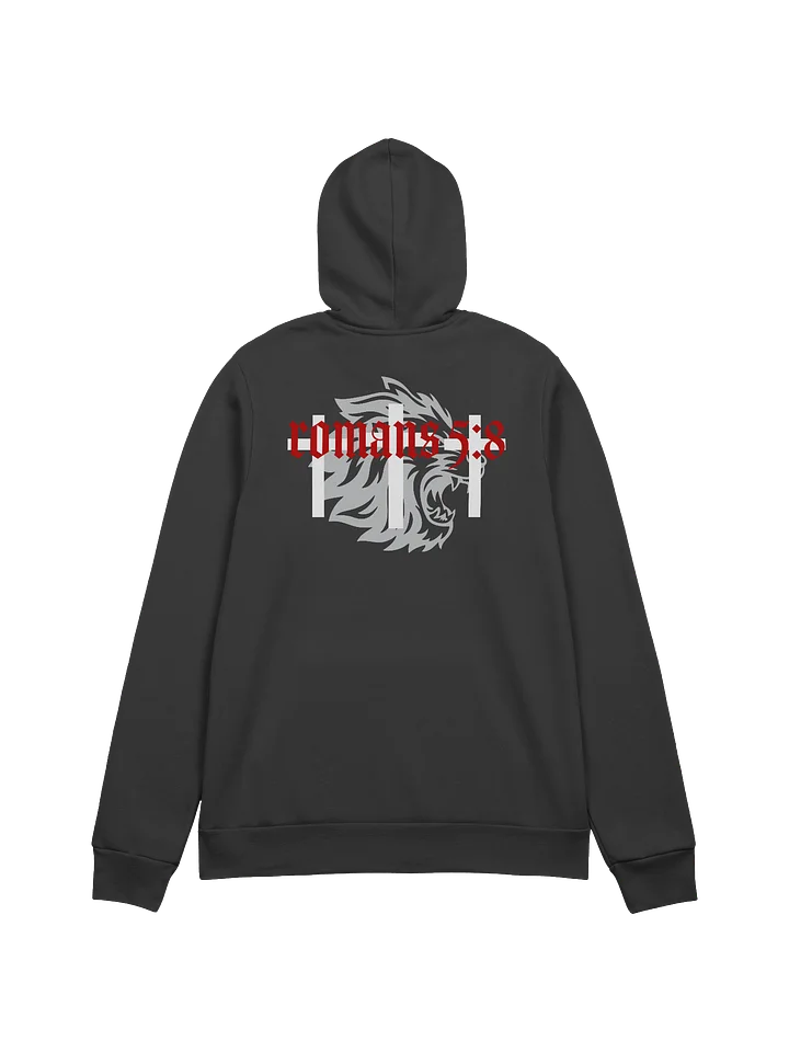 Forgiven Sinner product image (2)