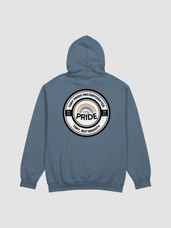 Tiny Pride Slate Hood product image (2)